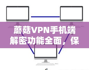蘑菇VPN手机端解密功能全面，保障网络安全