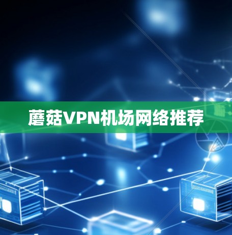 蘑菇VPN机场网络推荐