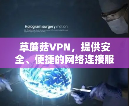 草蘑菇VPN，提供安全、便捷的网络连接服务