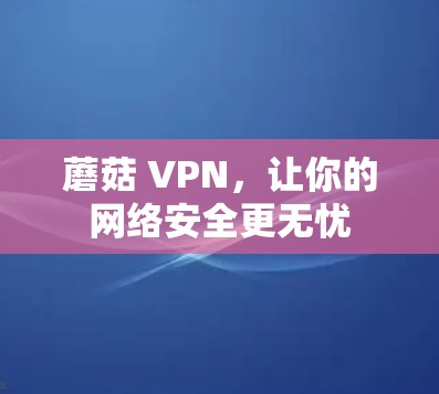 蘑菇 VPN,让你的网络安全更无忧 蘑菇 VPN,让你的网络安全更无忧