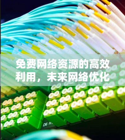 免费网络资源的高效利用，未来网络优化的创新
