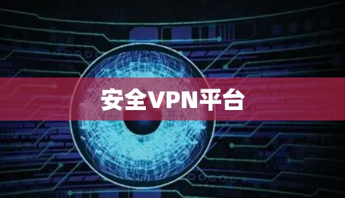 安全VPN平台