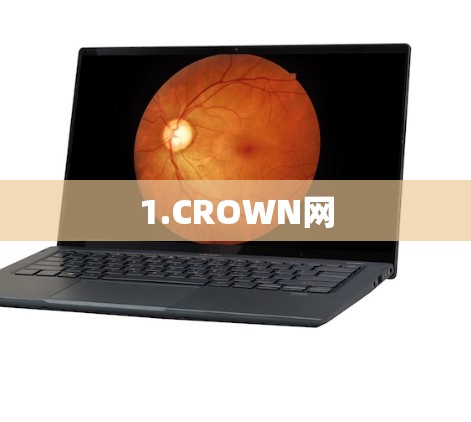 1.CROWN网