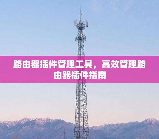 路由器插件管理工具,高效管理路由器插件指南 路由器插件管理工具,高效管理路由器插件指南