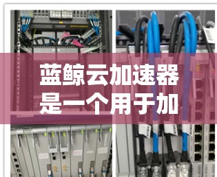 蓝鲸云加速器是一个用于加速云资源（如存储、计算等）的工具，通常用于提升用户体验和效率。如果你需要下载蓝鲸云加速器，可以直接访问其官方网站或应用商店下载