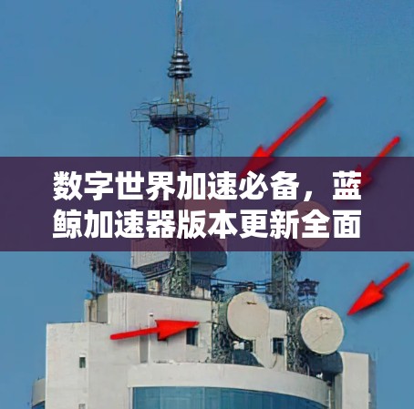 数字世界加速必备,蓝鲸加速器版本更新全面升级 数字世界加速必备,蓝鲸加速器版本更新全面升级