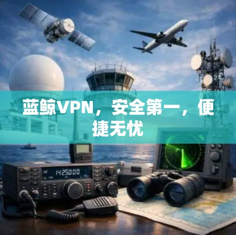 蓝鲸VPN，安全第一，便捷无忧