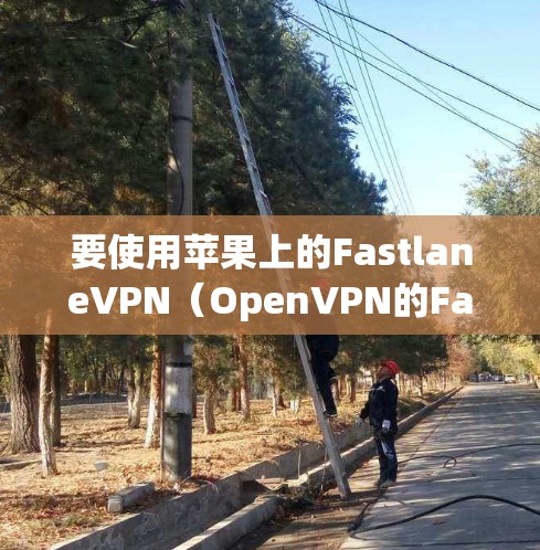 要使用苹果上的FastlaneVPN（OpenVPN的Fastlane版本）可以按照以下步骤进行