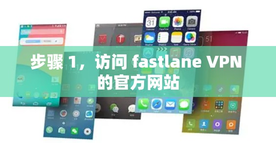 步骤 1，访问 fastlane VPN 的官方网站