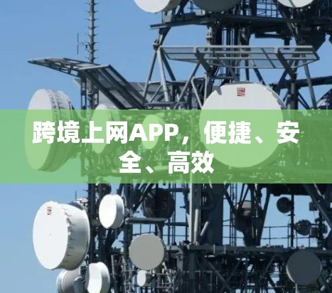 跨境上网APP，便捷、安全、高效